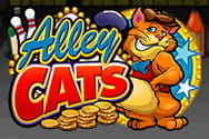 Alley Cats