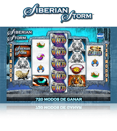 Se muestran los cinco rodillos de Siberian Storm con la combinación ganadora de cinco comodines.