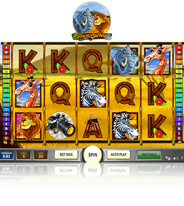 In-game view of Photo Safari Slot